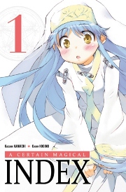 Acc�der � la BD A certain magical Index