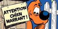 Nos animaux de compagnie préférés sont parfois aussi des héros de bande dessinée. Les voici.