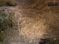 Les traces du fauteuil roulant de la victime, mais aussi des traces de pas !