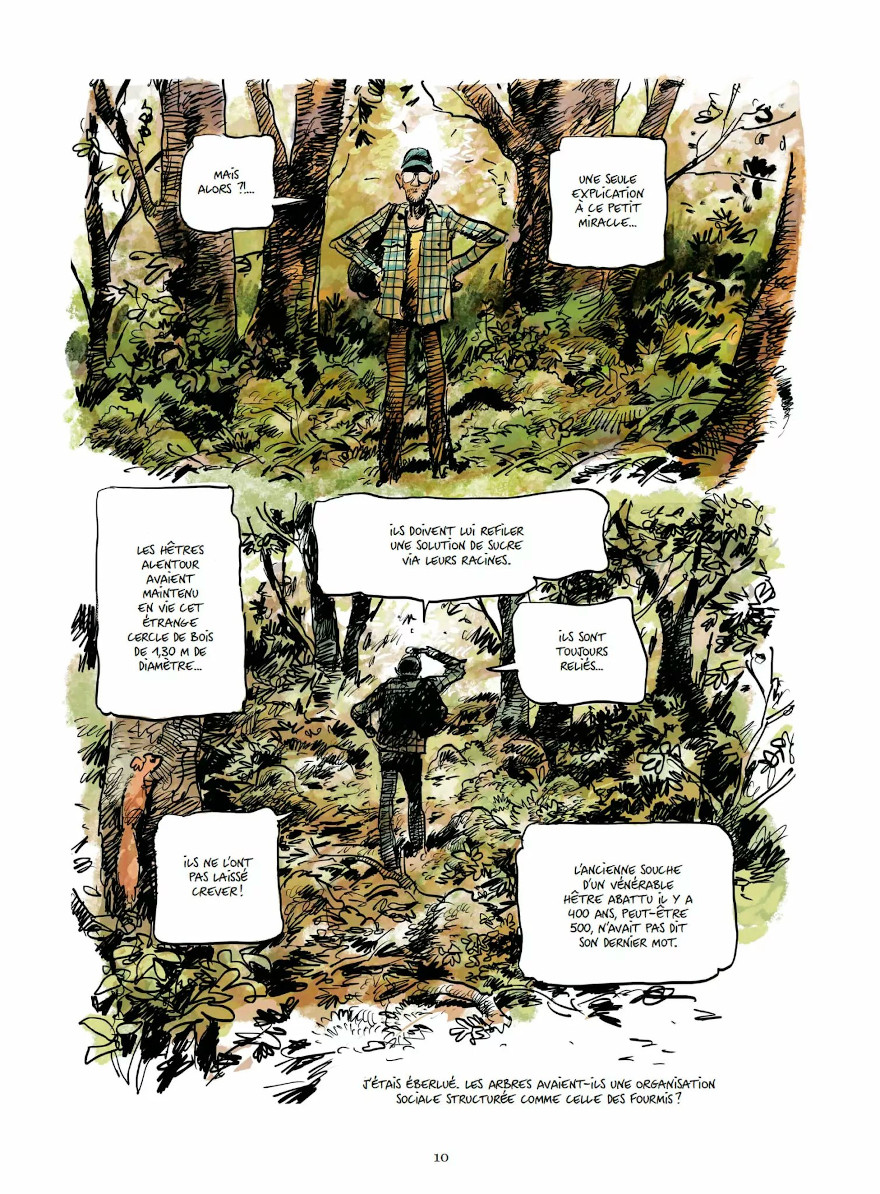 La Vie secrète des arbres en BD - broché - Peter Wohlleben, Fred